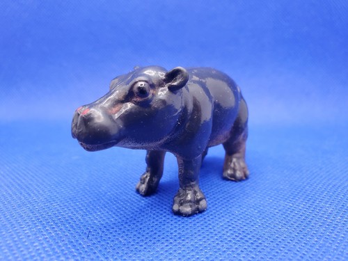 Hippopotamus calf aaa - hippopotamus,