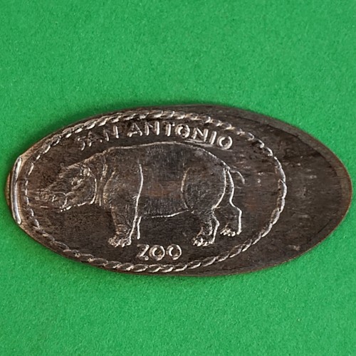Hippo hippopotamus san antonio - san,